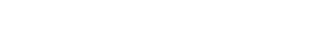 Partenaire Shopify